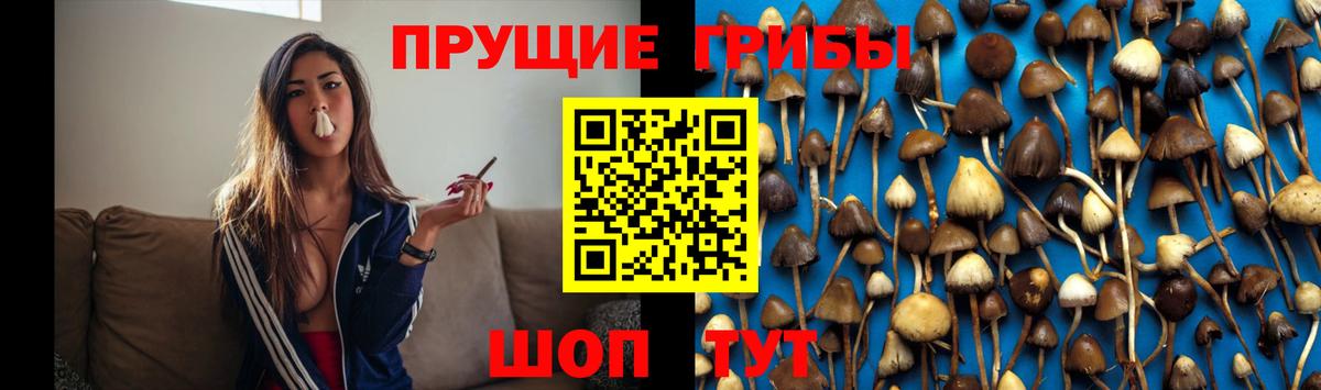 Галлюциногенные грибы прущие грибы Слободской